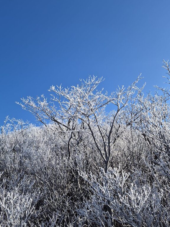 The Art of Simplifying Your Daily Routine